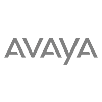 Avaya Gray